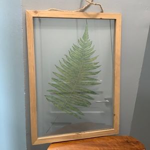 Fern in framed glass.